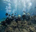 沖縄マリンサービス碧に投稿された画像（2025/2/11）