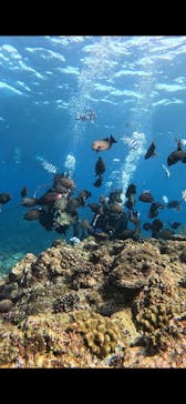 武藤潜水に投稿された画像（2025/2/11）