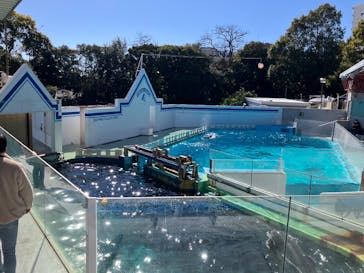 しながわ水族館に投稿された画像（2025/2/11）