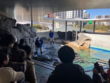 しながわ水族館に投稿された画像（2025/2/11）