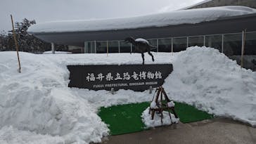 福井県立恐竜博物館に投稿された画像（2025/2/11）