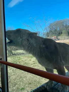 多摩動物公園に投稿された画像（2025/2/11）