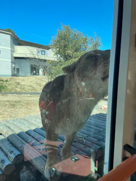 多摩動物公園に投稿された画像（2025/2/11）