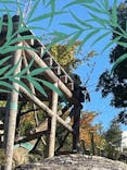 恩賜上野動物園に投稿された画像（2025/2/11）