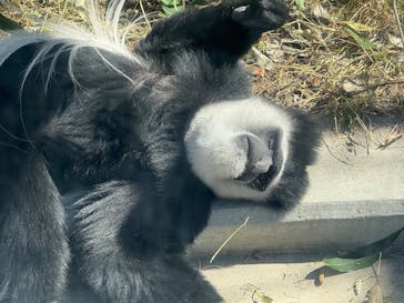 東武動物公園に投稿された画像（2025/2/11）