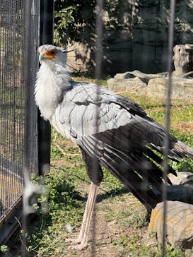 東武動物公園に投稿された画像（2025/2/11）