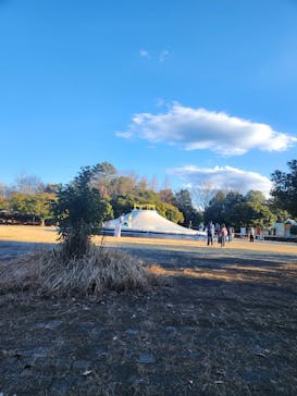 国営ひたち海浜公園プレジャーガーデンに投稿された画像（2025/2/11）