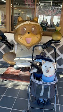 土肥金山に投稿された画像（2025/2/11）