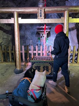 土肥金山に投稿された画像（2025/2/11）