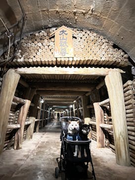 土肥金山に投稿された画像（2025/2/11）