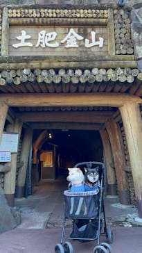 土肥金山に投稿された画像（2025/2/11）