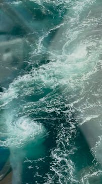 徳島県立 渦の道に投稿された画像（2025/2/11）