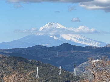 伊豆シャボテン動物公園に投稿された画像（2025/2/11）