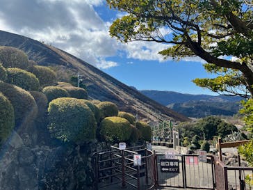 伊豆シャボテン動物公園に投稿された画像（2025/2/11）