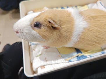 カワスイ 川崎⽔族館に投稿された画像（2025/2/11）