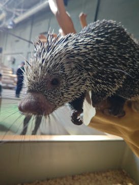 カワスイ 川崎⽔族館に投稿された画像（2025/2/11）