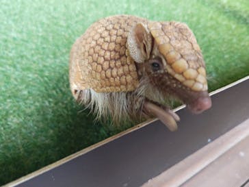 カワスイ 川崎⽔族館に投稿された画像（2025/2/11）