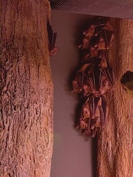 カワスイ 川崎⽔族館に投稿された画像（2025/2/11）