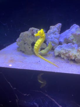 マクセル アクアパーク品川に投稿された画像（2025/2/11）