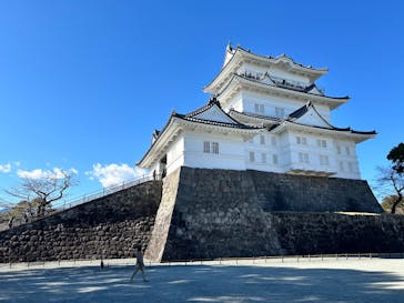 小田原城に投稿された画像（2025/2/11）