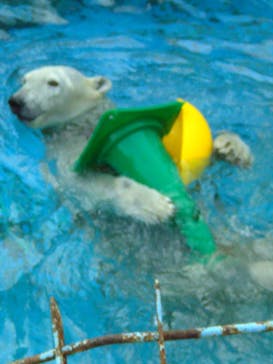 天王寺動物園に投稿された画像（2025/2/11）