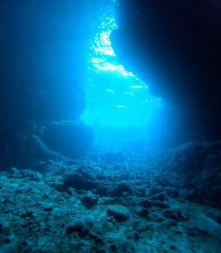 青の洞窟専門店　沖縄ダイビングショップ和に投稿された画像（2025/2/11）