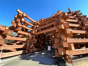 彫刻の森美術館に投稿された画像（2025/2/11）