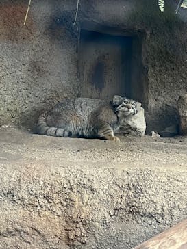 神戸どうぶつ王国に投稿された画像（2025/2/11）