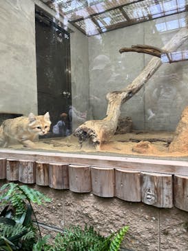 神戸どうぶつ王国に投稿された画像（2025/2/11）