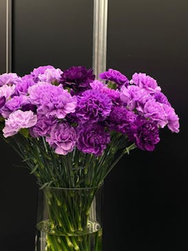 世界らん展2026-花と緑の祭典-に投稿された画像（2025/2/11）