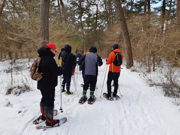 能代観光協会に投稿された画像（2025/2/11）