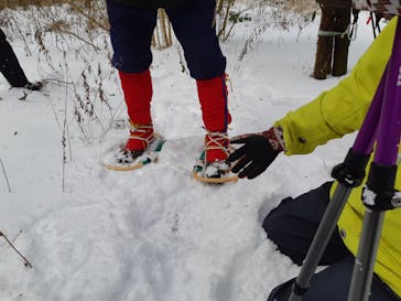 能代観光協会に投稿された画像（2025/2/11）