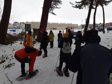 能代観光協会に投稿された画像（2025/2/11）