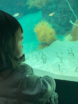 環境水族館アクアマリンふくしまに投稿された画像（2025/2/11）