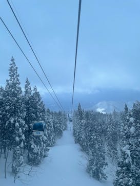 阿仁スキー場に投稿された画像（2025/2/11）