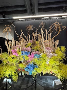 世界らん展2026-花と緑の祭典-に投稿された画像（2025/2/11）