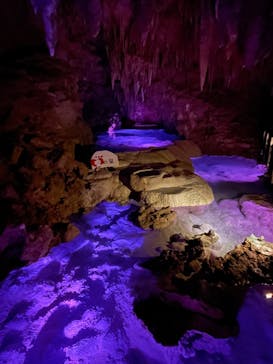 おきなわワールドに投稿された画像（2025/2/11）