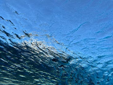 サンシャイン水族館に投稿された画像（2025/2/11）