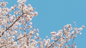 熱川バナナワニ園に投稿された画像（2025/2/11）