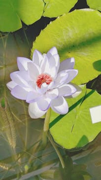 熱川バナナワニ園に投稿された画像（2025/2/11）