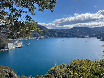 あわしまマリンパークに投稿された画像（2025/2/11）