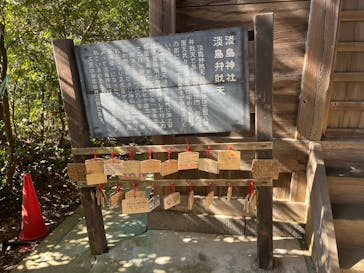 あわしまマリンパークに投稿された画像（2025/2/11）