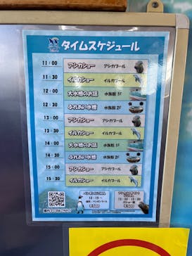 あわしまマリンパークに投稿された画像（2025/2/11）