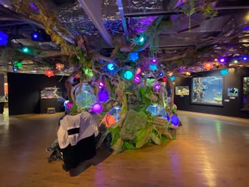 NARA IKIMONO MUSEUMに投稿された画像（2025/2/11）