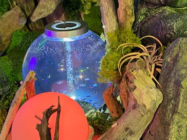 NARA IKIMONO MUSEUMに投稿された画像（2025/2/11）