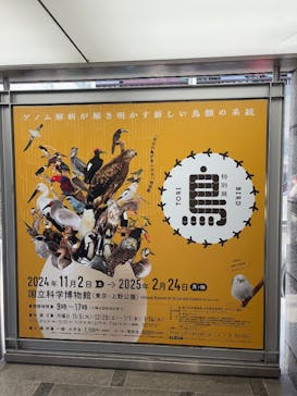 特別展「鳥 ～ゲノム解析が解き明かす新しい鳥類の系統～」国立科学博物館に投稿された画像（2025/2/11）