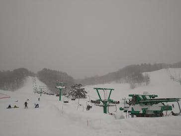 水上高原 藤原スキー場に投稿された画像（2025/2/11）