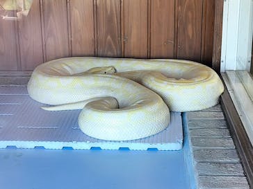 東武動物公園に投稿された画像（2025/2/11）