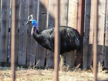東武動物公園に投稿された画像（2025/2/11）