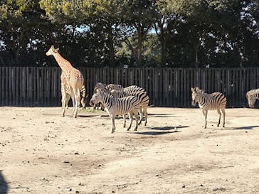 東武動物公園に投稿された画像（2025/2/11）